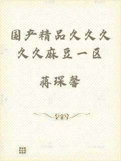 国产精品久久久久久麻豆一区
