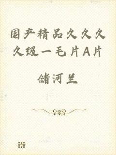 国产精品久久久久级一毛片A片