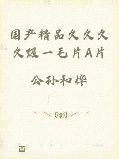 国产精品久久久久级一毛片A片