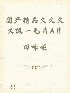 国产精品久久久久级一毛片A片
