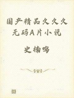 国产精品久久久无码A片小说