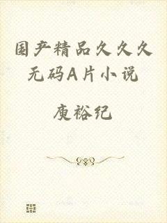国产精品久久久无码A片小说