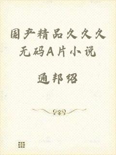 国产精品久久久无码A片小说