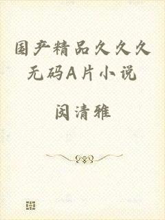 国产精品久久久无码A片小说
