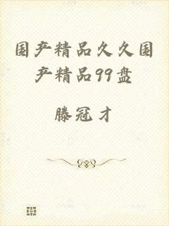 国产精品久久国产精品99盘