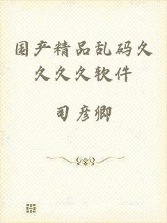 国产精品乱码久久久久软件