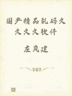 国产精品乱码久久久久软件