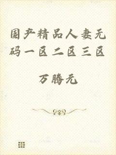 国产精品人妻无码一区二区三区