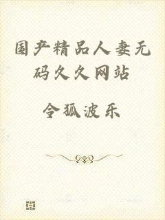 国产精品人妻无码久久网站