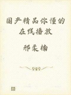 国产精品你懂的在线播放
