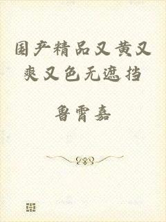 国产精品又黄又爽又色无遮挡