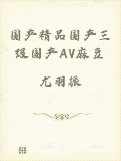 国产精品国产三级国产AV麻豆