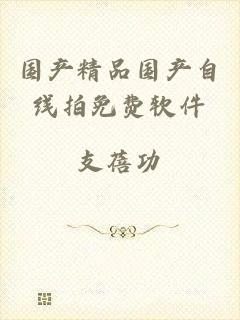 国产精品国产自线拍免费软件