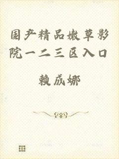 国产精品嫩草影院一二三区入口