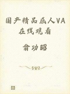 国产精品成人VA在线观看