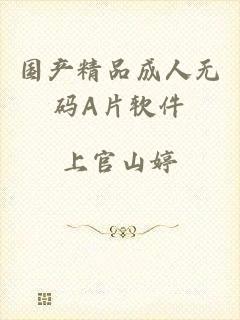 国产精品成人无码A片软件