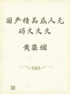国产精品成人无码久久久