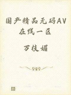 国产精品无码AV在线一区
