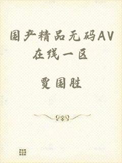 国产精品无码AV在线一区