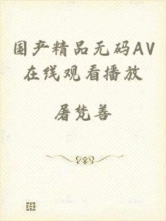 国产精品无码AV在线观看播放