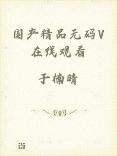 国产精品无码V在线观看