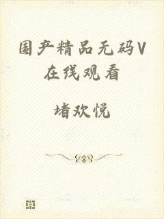 国产精品无码V在线观看