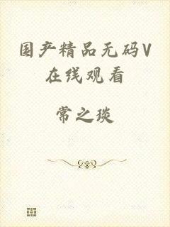 国产精品无码V在线观看