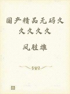 国产精品无码久久久久久