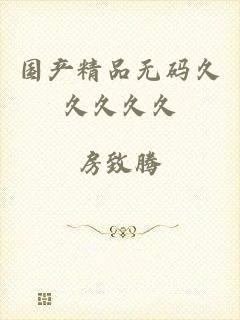 国产精品无码久久久久久