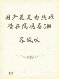 国产美足白丝榨精在线观看SM
