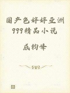 国产色婷婷亚洲999精品小说