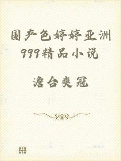 国产色婷婷亚洲999精品小说