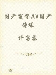 国产蜜臀AV国产传媒