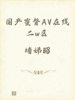国产蜜臀AV在线二w区