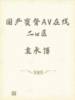 国产蜜臀AV在线二w区