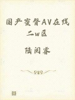 国产蜜臀AV在线二w区
