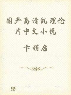 国产高清乱理伦片中文小说