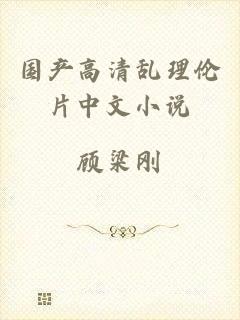 国产高清乱理伦片中文小说