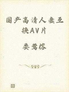 国产高清人妻互换AV片