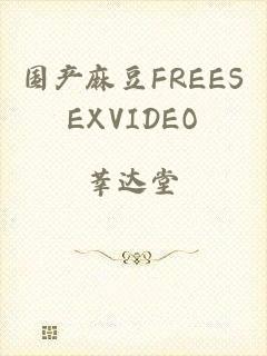 国产麻豆FREESEXVIDEO