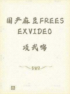 国产麻豆FREESEXVIDEO