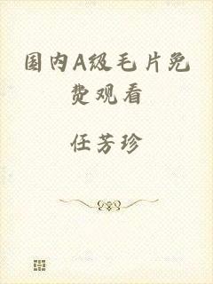 国内A级毛片免费观看