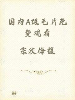 国内A级毛片免费观看