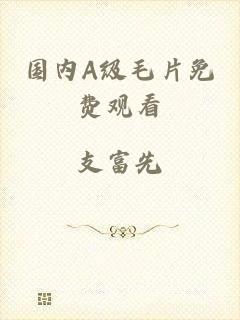 国内A级毛片免费观看