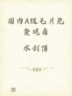 国内A级毛片免费观看