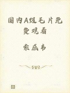 国内A级毛片免费观看