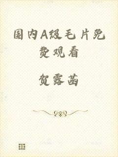 国内A级毛片免费观看