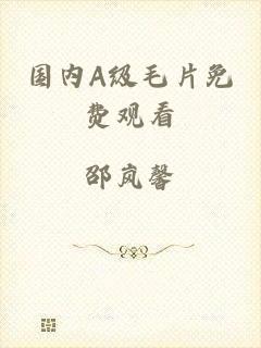 国内A级毛片免费观看