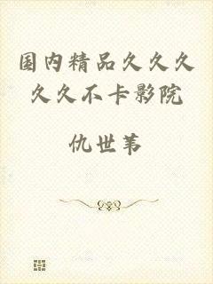 国内精品久久久久久不卡影院