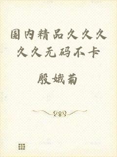 国内精品久久久久久无码不卡
